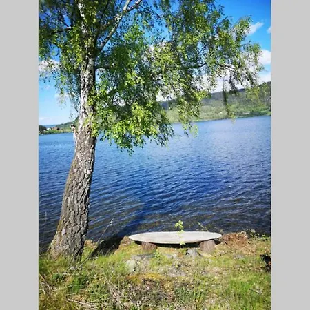 Idyllisk Vestlandsfolelse Ved Eikeren